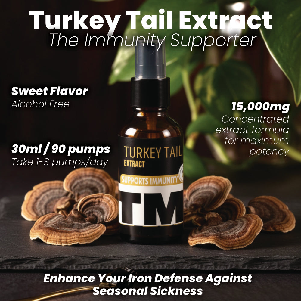 Turkey Tail Mushroom Tincture | Wellness Support | 15,000mg