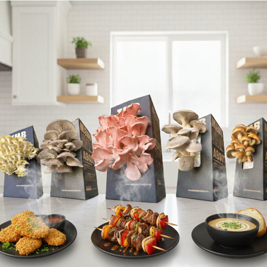 Mushroom Box 8 variety Pack + Premium Packaging