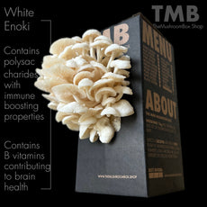 White Enoki Mushroom Box
