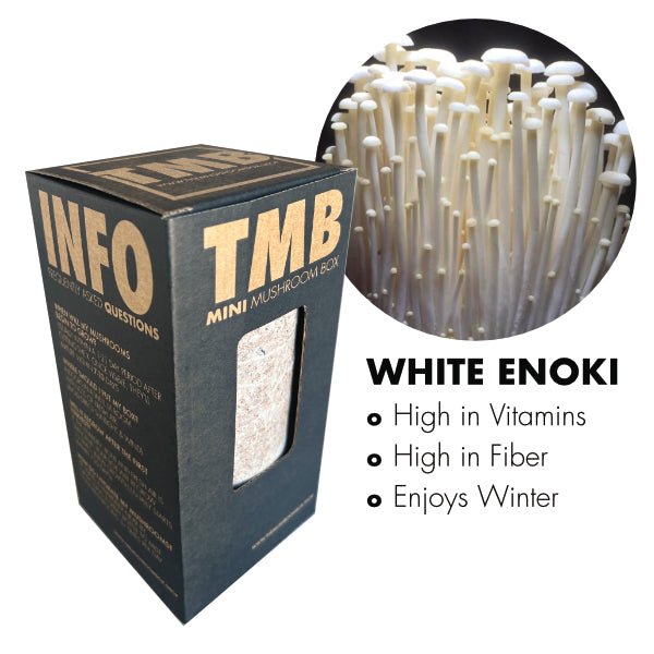 White Enoki Mushroom Box