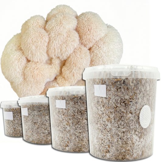 Smart Choice - Lion's Mane Mushrooms