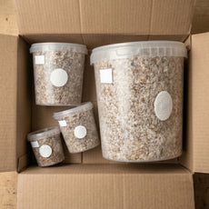 Brown Oyster - Chestnut Mushroom Box