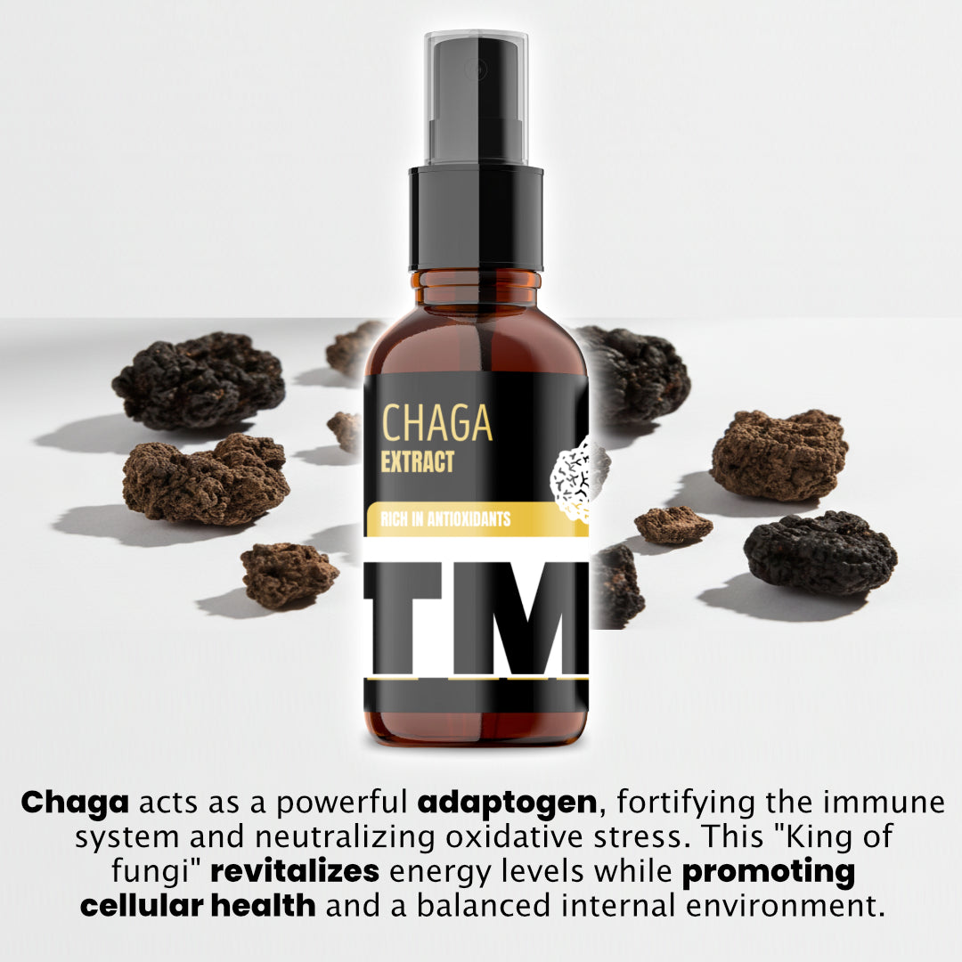 Chaga | Mushroom Tincture | 30 Day Supply | 20 000mg +-