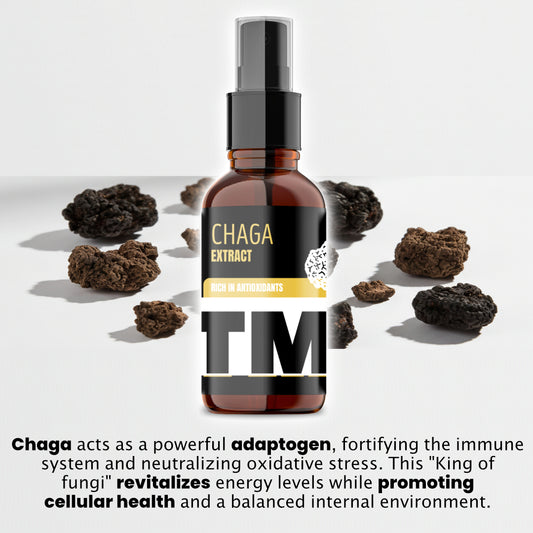 Chaga | Mushroom Tincture | 30 Day Supply | 20 000mg +-