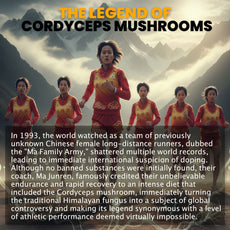 Energy Booster | Cordyceps Mushroom Capsules (60) | Endurance | 500mg
