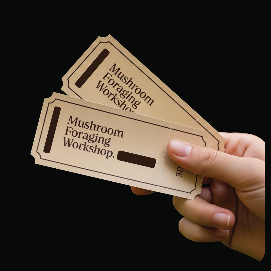 Ticket | Mushroom Movement | Foraging Workshop