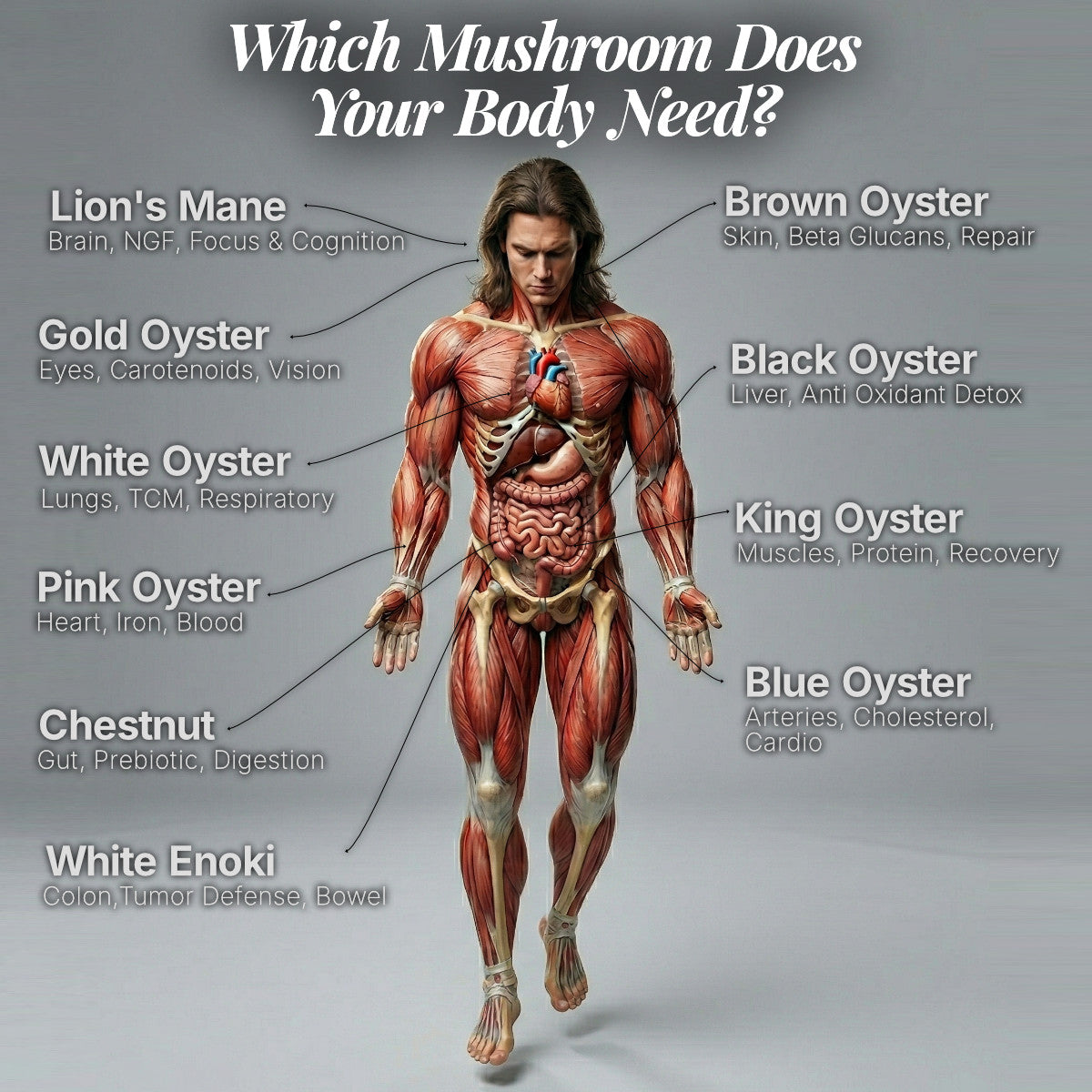 Full Body Booster Pack (8)
