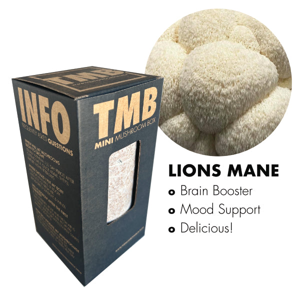 Lions Mane Mushroom Box