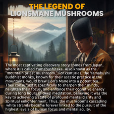 Brain Booster - Lions Mane Mushroom Box