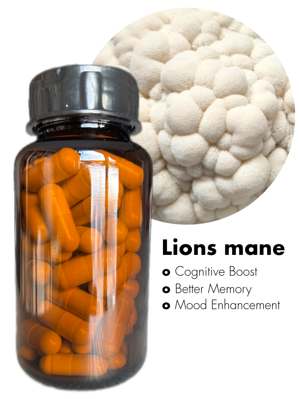 Lions Mane Mushroom Capsules (30)