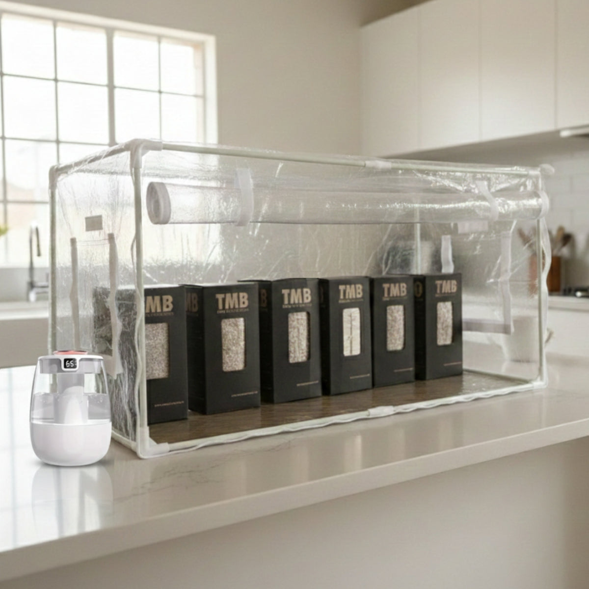 Mini Mushroom Farm set up + Seasonal 6 pack