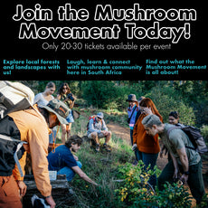 Mushroom Foraging Guided Walk - Natures Valley - 19th November 2025