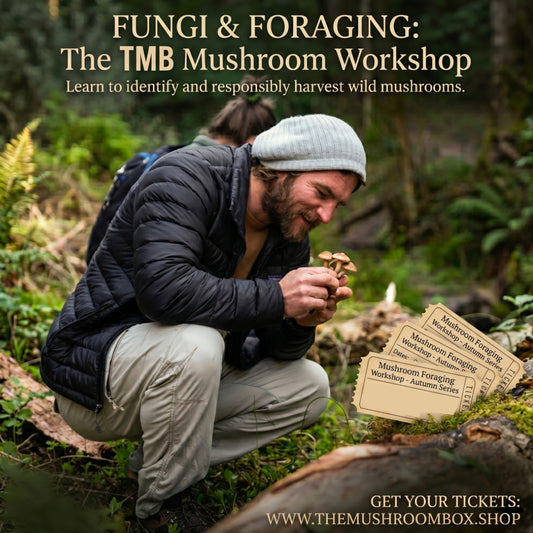 Ticket | Mushroom Movement | Foraging Workshop - 30th May