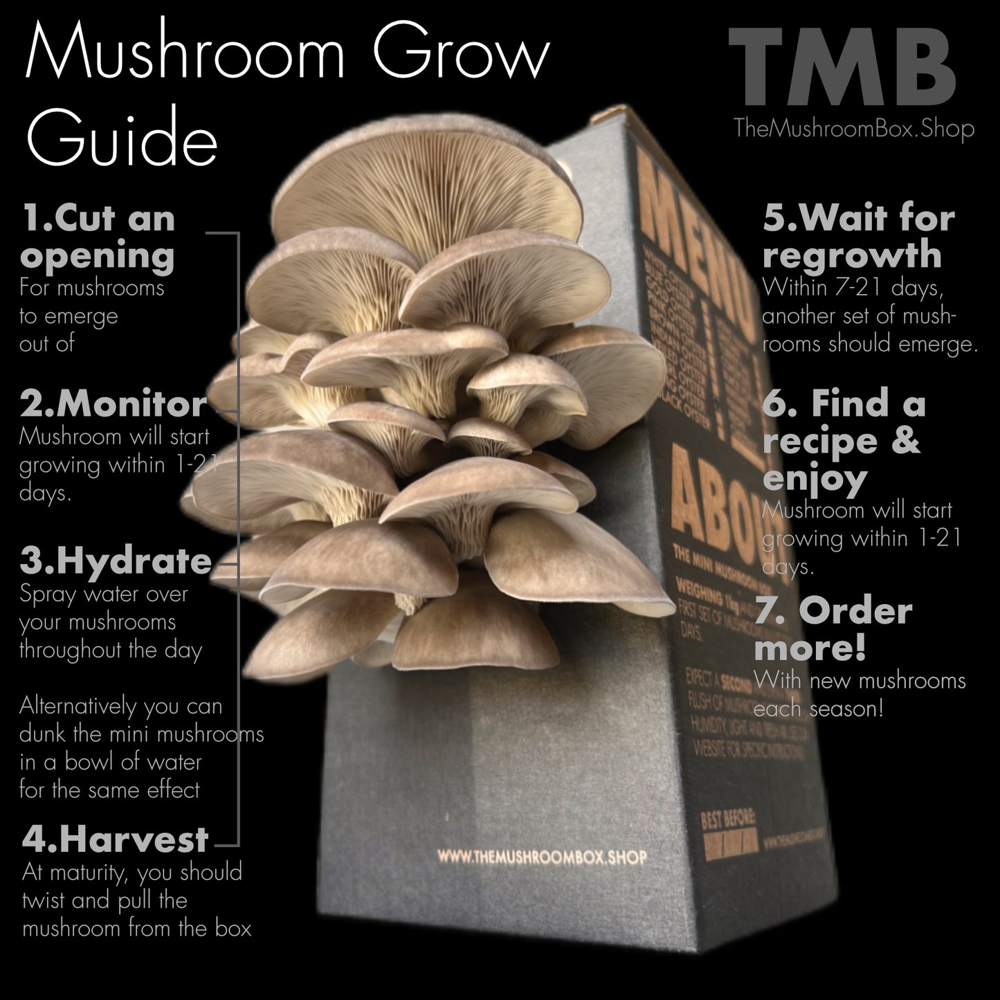 [50% OFF] Mixed Mushroom Box: 6 Pack