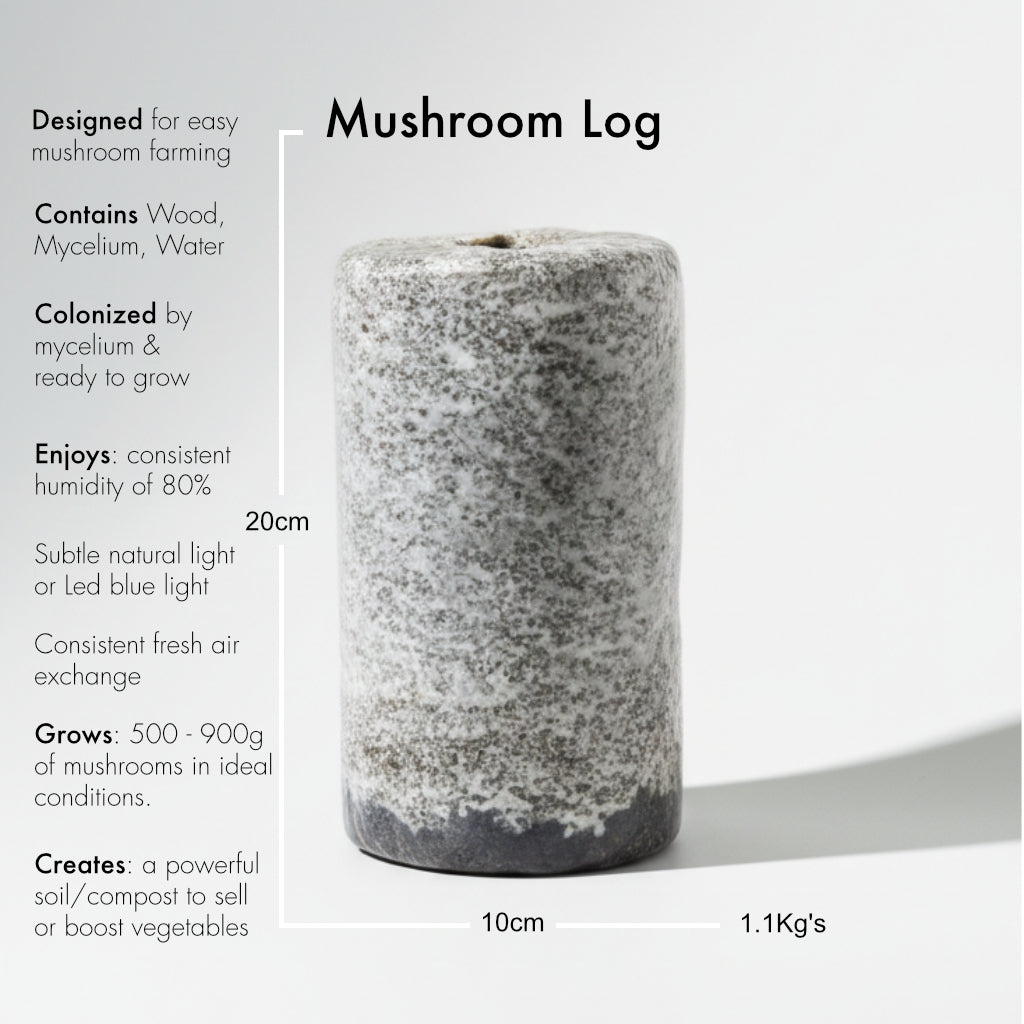 Blue/Grey Oyster Mushroom Logs - Bulk