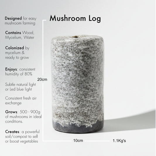 Blue/Grey Oyster Mushroom Logs - Bulk