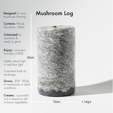 Black Oyster Mushroom Logs - Bulk