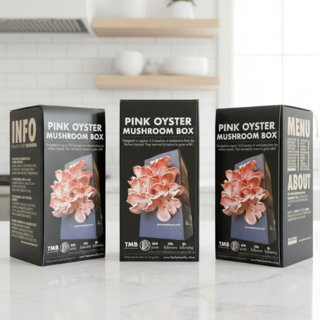 Protein Packed - Pink Oyster Mushroom Box