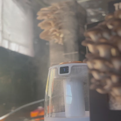 Humidity Chamber
