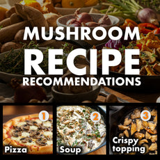 Protein Packed - Pink Oyster Mushroom Box