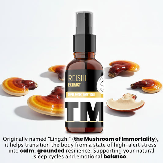 Buy 5 Get 2 Free | Lionsmane, Reishi, Turkey Tail, Chaga, Cordyceps | Buy 5 Get 2 Free