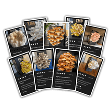 Seasonal 6 Pack - Buy 4 Get 2 Free