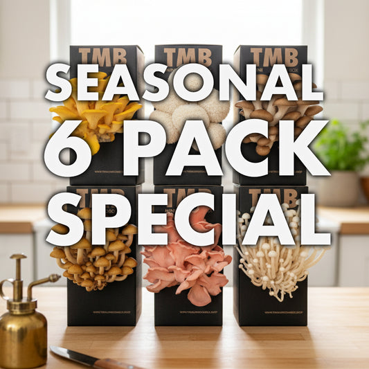 [Pre Order] Seasonal 6 Pack - Save 50%