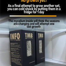 Mini Mushroom Farm set up + Seasonal 6 pack